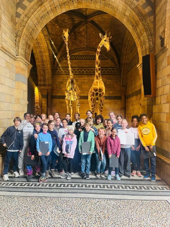 Evolution at the Natural History Museum