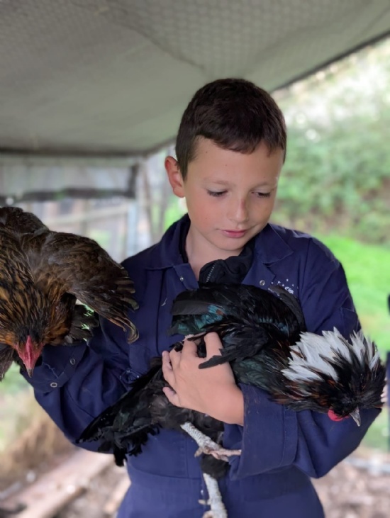 Day 3 on the farm