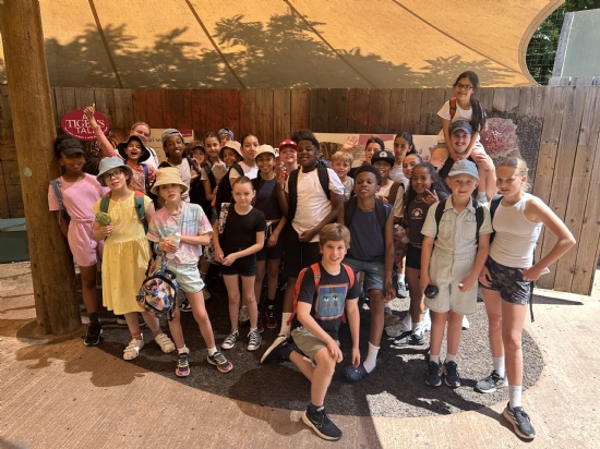 Year 6 at the Zoo!