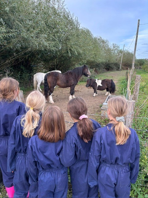Whole School Newsletter 2nd October 2026