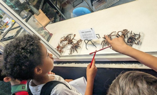 Y2 are invertebrates experts!